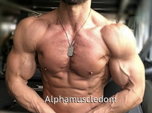 alphamuscledom Zizi X