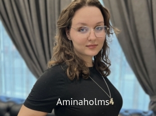 Aminaholms