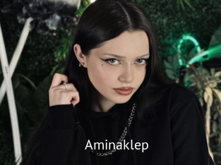 Aminaklep