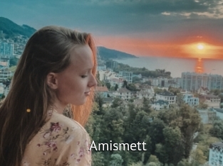 Amismett