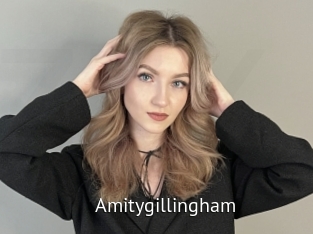 amitygillingham Zizi X