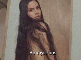 Ammycolins