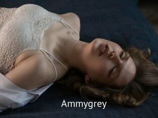 Ammygrey