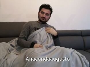 Anacondaaugusto