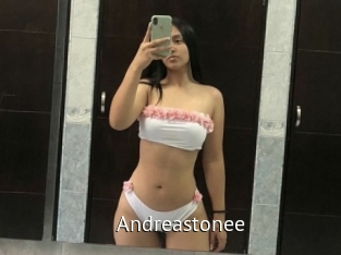 Andreastonee