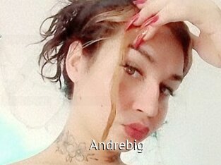 andrebig Zizi X