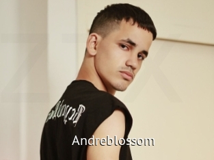 Andreblossom