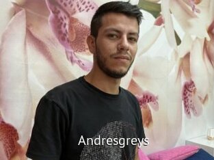 Andresgreys