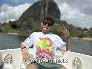 Andrewtwink18