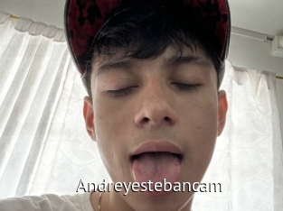 Andreyestebancam