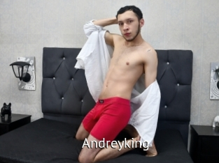 Andreyking
