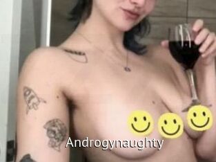 Androgynaughty