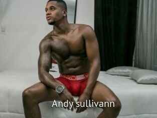 Andy_sullivann
