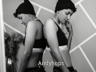 Andyhops