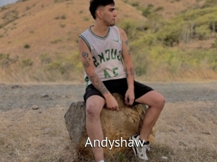 andyshaw Zizi X