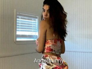 angelbunny Zizi X