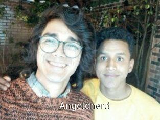 Angeldnerd
