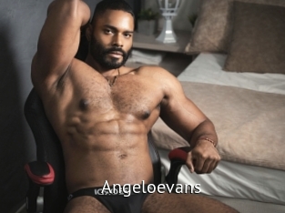 Angeloevans