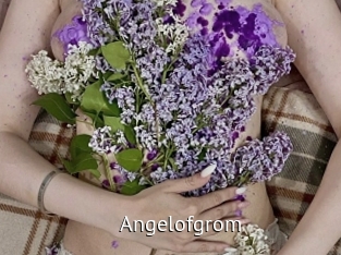 Angelofgrom