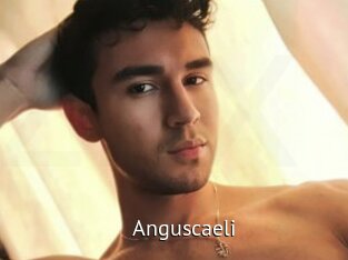 Anguscaeli