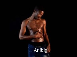 Anibig