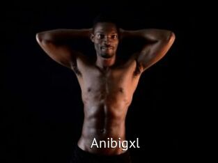 Anibigxl