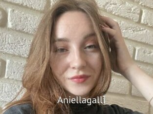 Aniellagalli