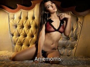 Aniemorris