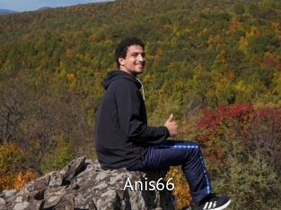 Anis66