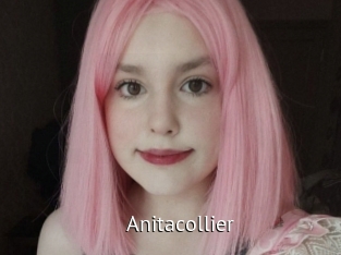 Anitacollier