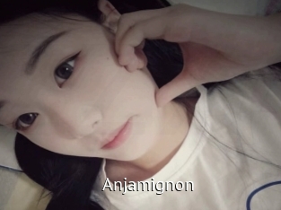 Anjamignon