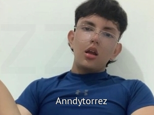 Anndytorrez