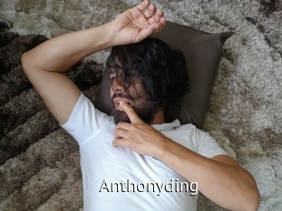 anthonyding Zizi X