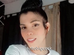 Antobigcock