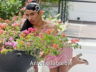 Antonellabarbie