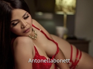 Antonellabonett