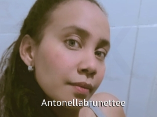 Antonellabrunettee