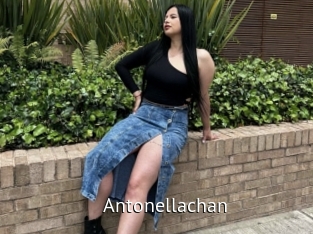 Antonellachan