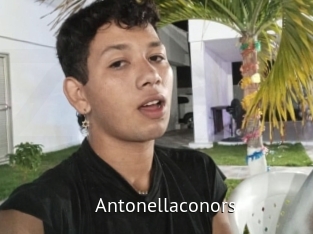 Antonellaconors