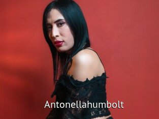 Antonellahumbolt