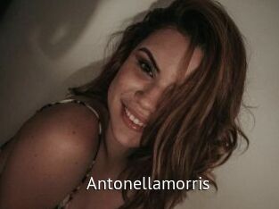 Antonellamorris