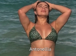 Antonellla