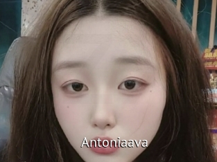 Antoniaava