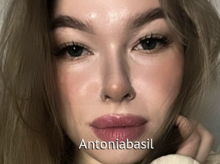 Antoniabasil