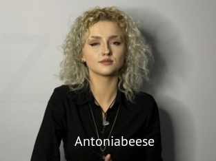 Antoniabeese