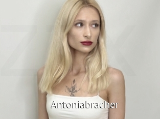Antoniabracher