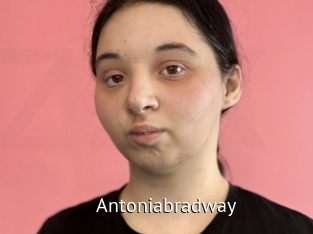 Antoniabradway