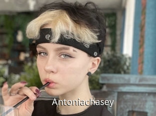 Antoniachasey