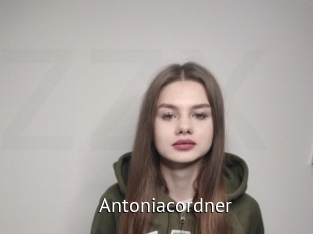 Antoniacordner