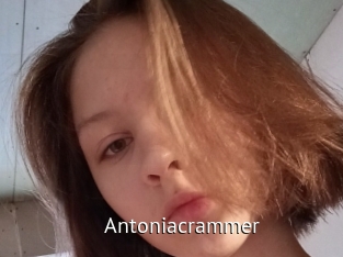 antoniacrammer Zizi X